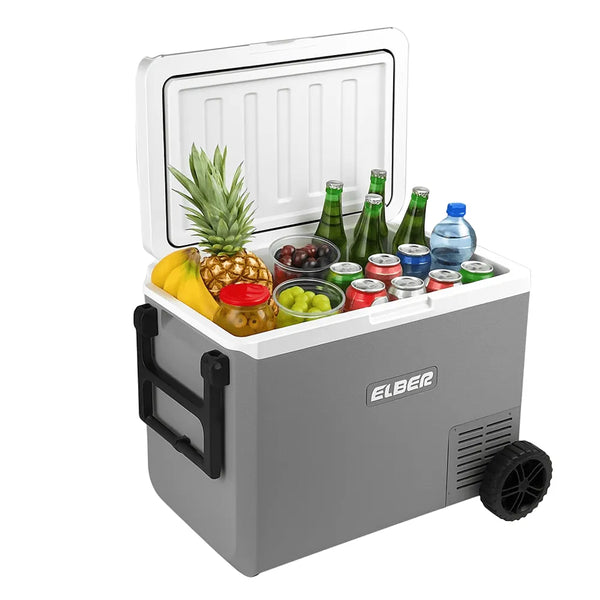 Geladeira Interna Day2Day 60 Litros 12V/24V - Com Rodas