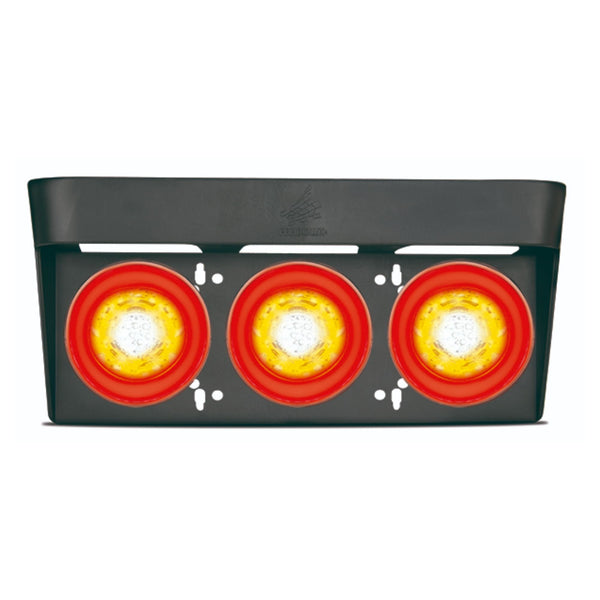 Suporte de Placa de Identificação Veicular