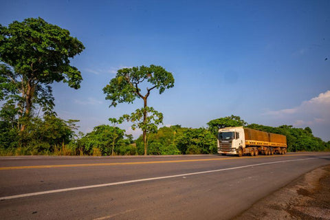 Brasil pode enfrentar déficit de até 250 mil caminhoneiros