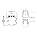Desenho técnico com medidas: Mola Convolutada Industrial