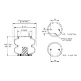 Desenho técnico com medidas: Mola Convolutada Industrial