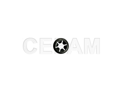 Aruela Fixação da Grade Inferior FH14 (2015 a 2021) Volvo  - foto do fabricante Cepam