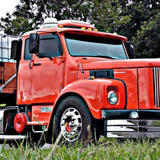 Calha de Porta Scania L111 - Jacaré
